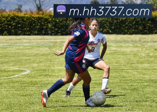 火狐体育官网首页品牌故事